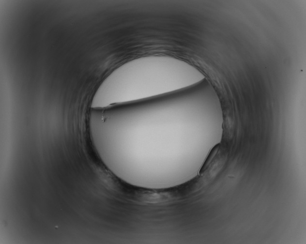 X0000088230379200705151054