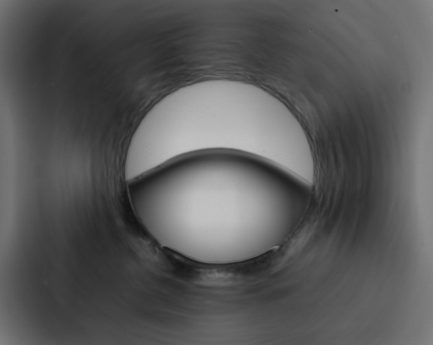 X0000088230380200705151054