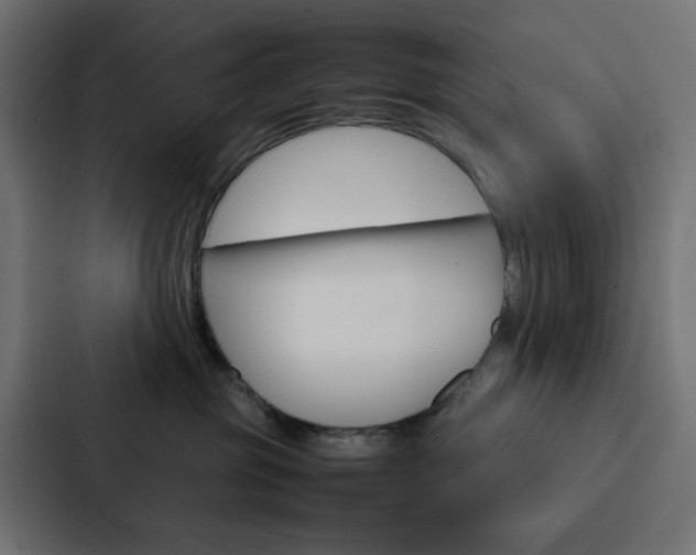 X0000088230381200705151054