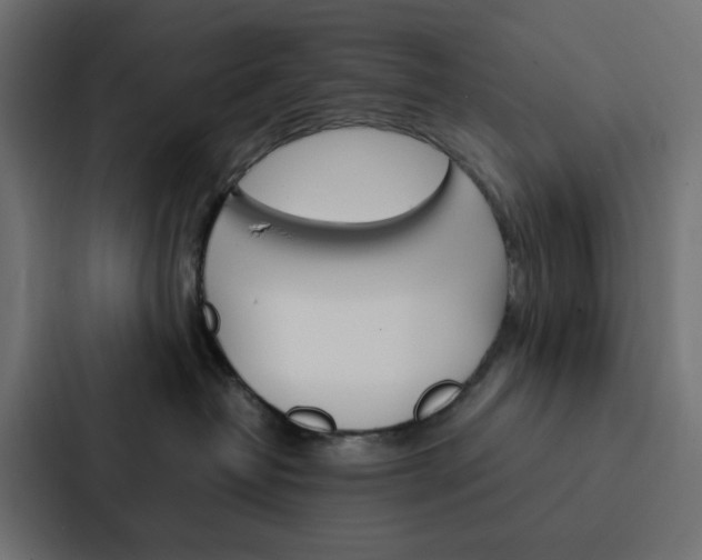 X0000088230382200705151054