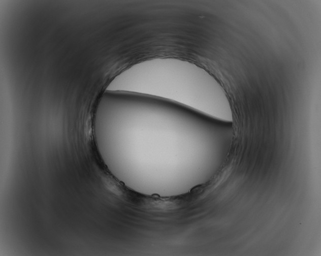 X0000088230383200705151054