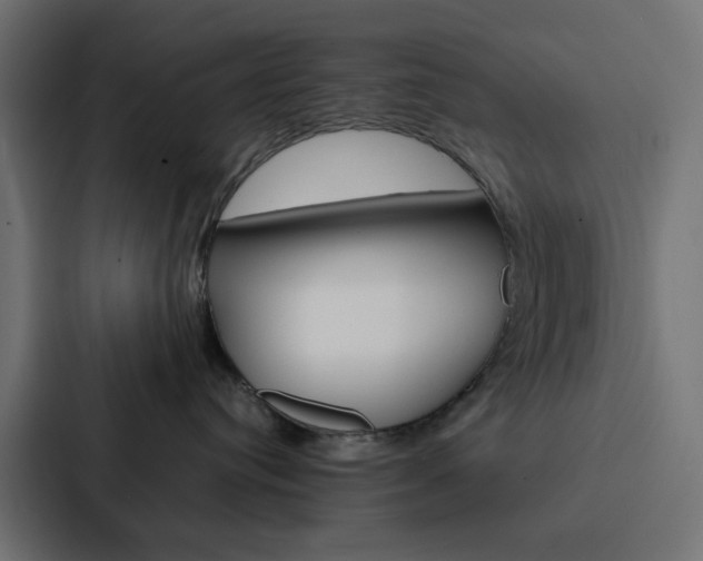 X0000088230384200705151054