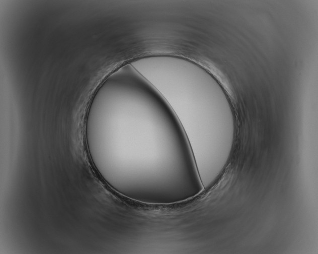 X0000088230385200705151053