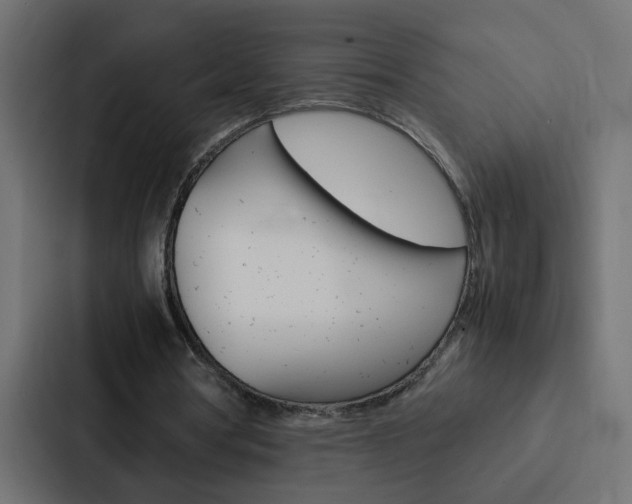 X0000088230386200705151053