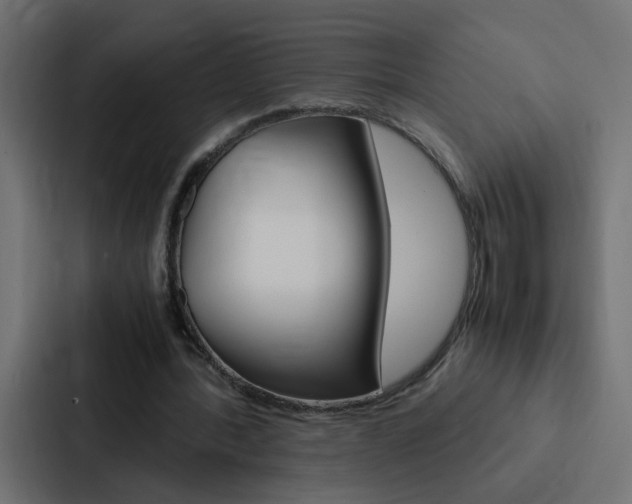X0000088230388200705151053