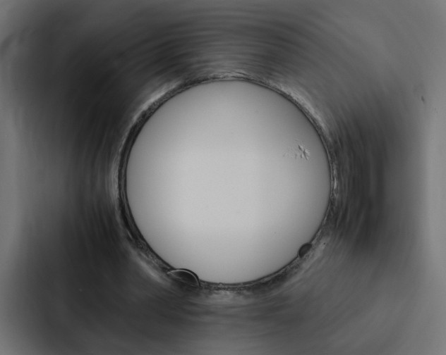 X0000088230390200705151053