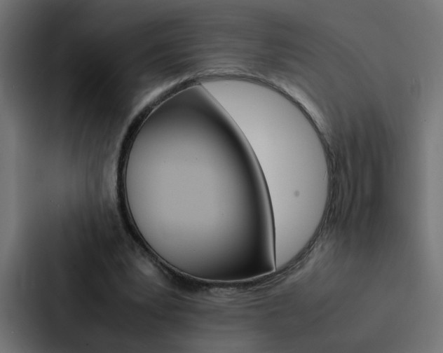 X0000088230391200705151053