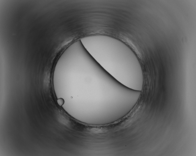X0000088230394200705151053