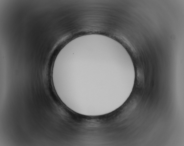 X0000088230396200705151053