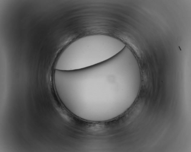 X0000088230398200705151053
