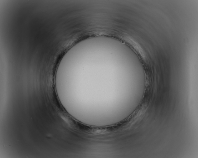 X0000088230401200705151053