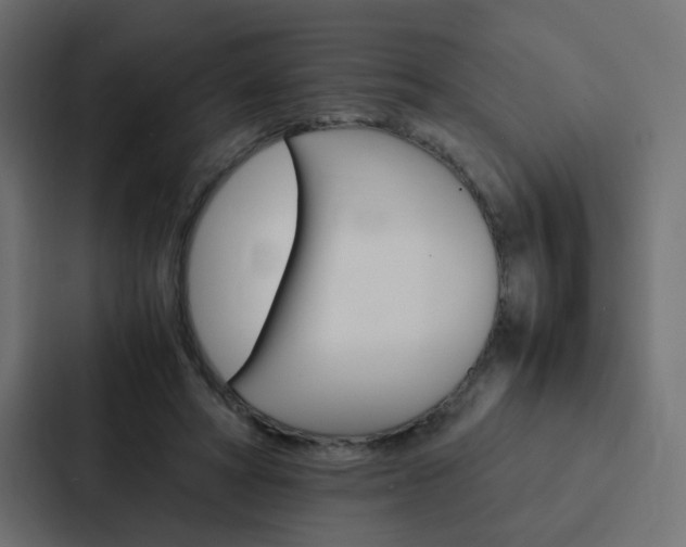 X0000088230402200705151053