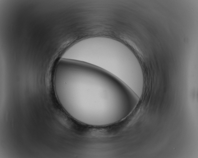 X0000088230403200705151053
