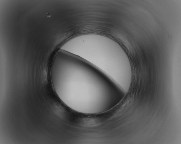 X0000088230404200705151053