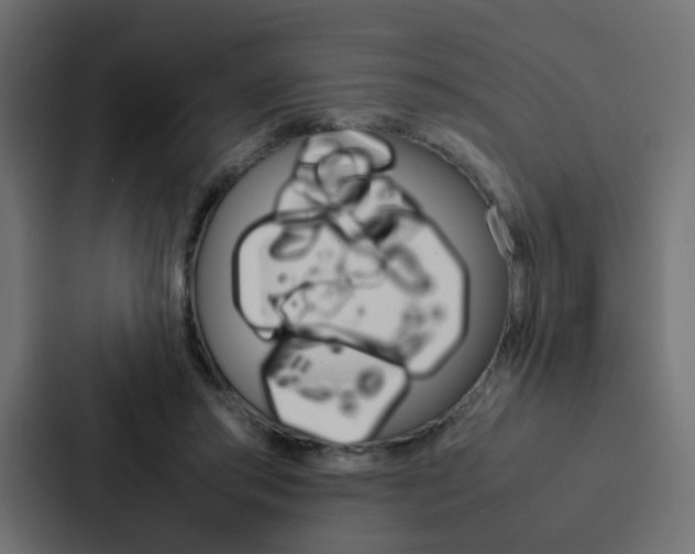 X0000088230405200705151053