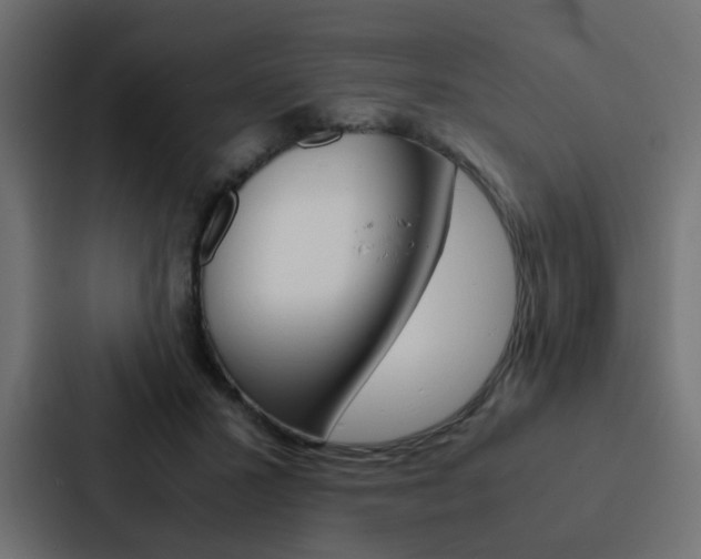 X0000088230407200705151053