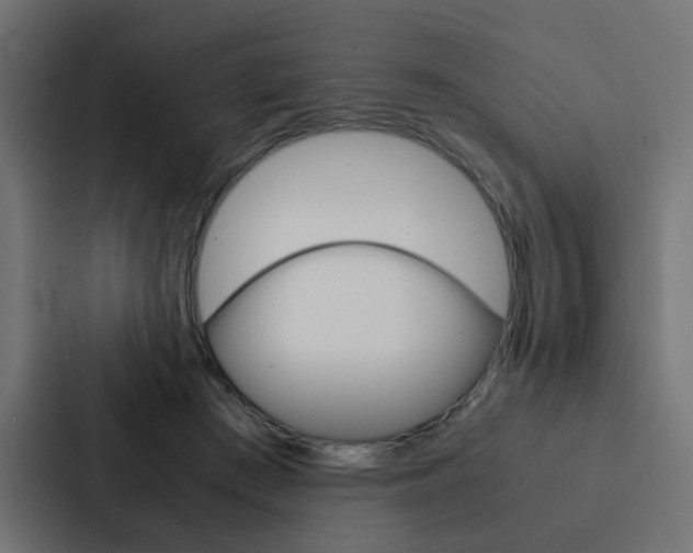 X0000088230409200705151053