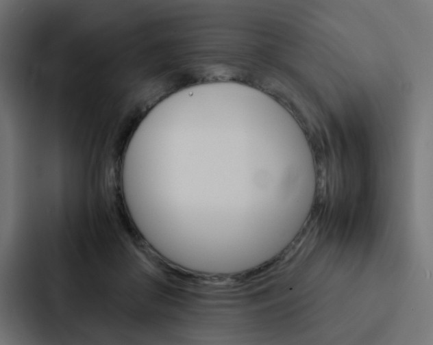 X0000088230410200705151053