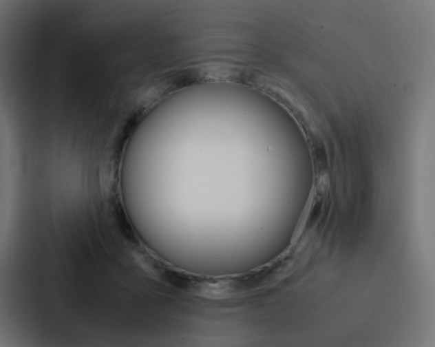X0000088230411200705151053