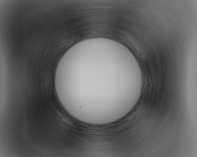 X0000088230412200705151053