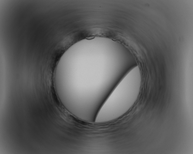 X0000088230413200705151053