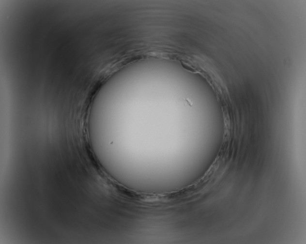 X0000088230415200705151053