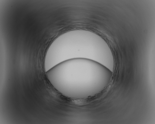 X0000088230417200705151053