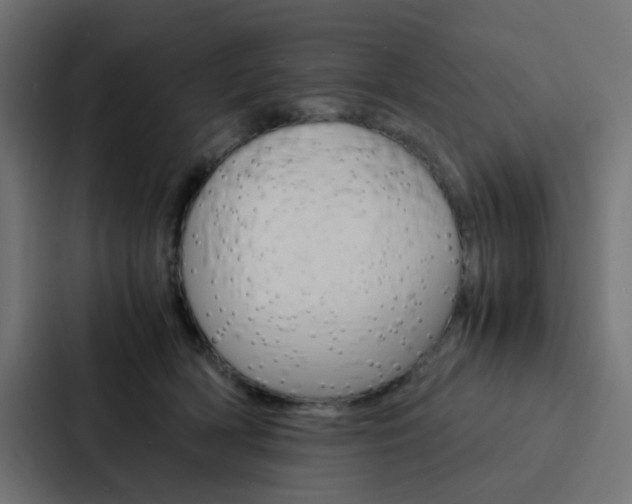 X0000088230418200705151053