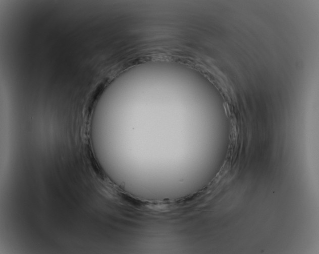 X0000088230419200705151053