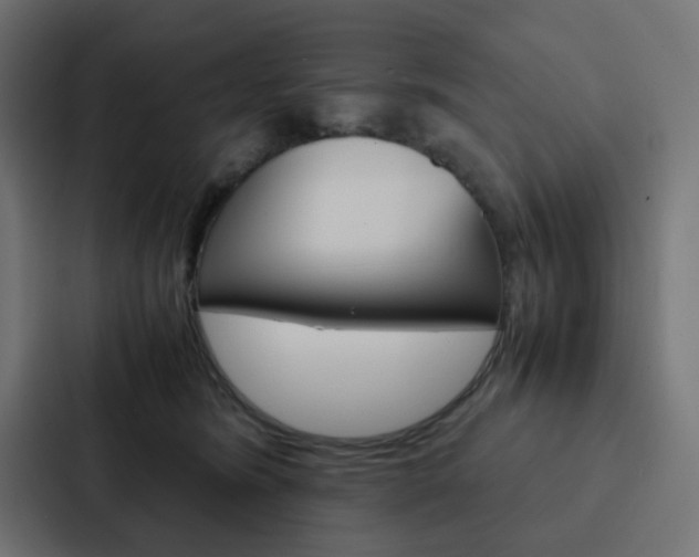 X0000088230420200705151053