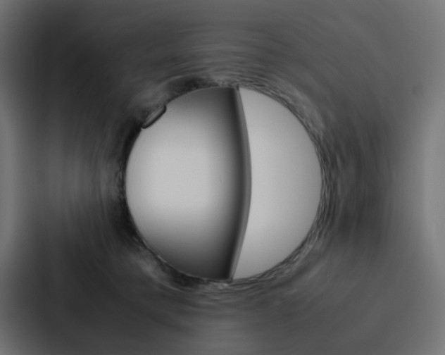 X0000088230421200705151053