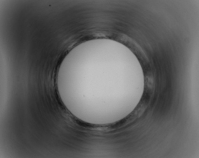 X0000088230422200705151053