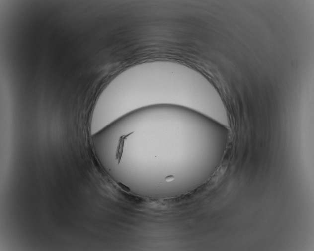 X0000088230423200705151053