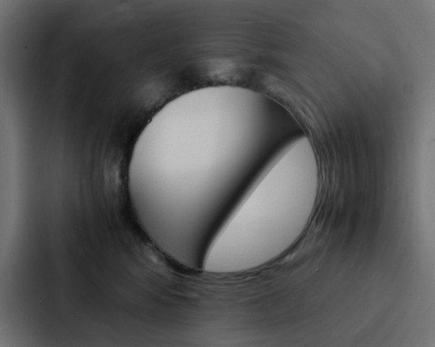 X0000088230424200705151052