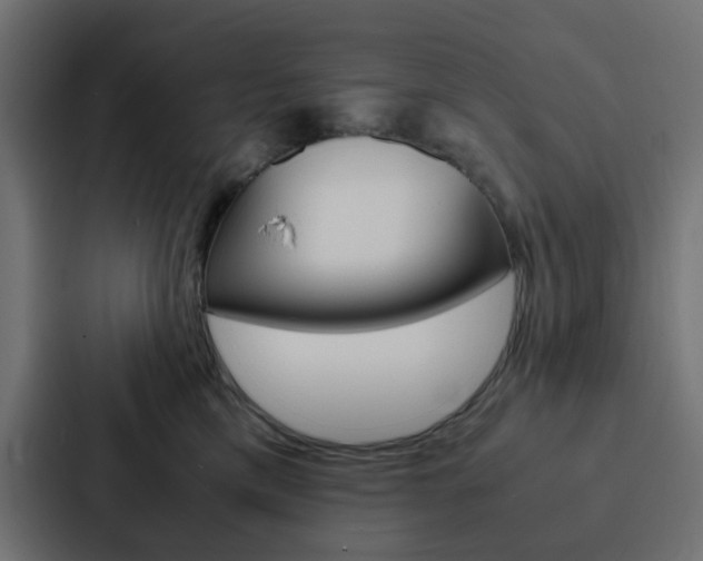 X0000088230425200705151052