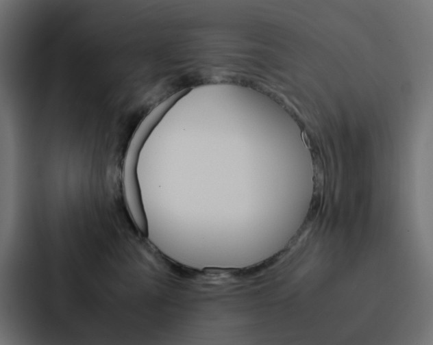 X0000088230427200705151052