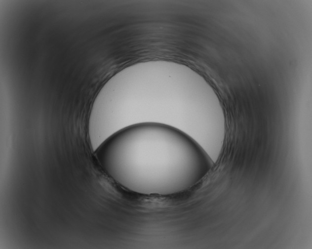X0000088230428200705151052