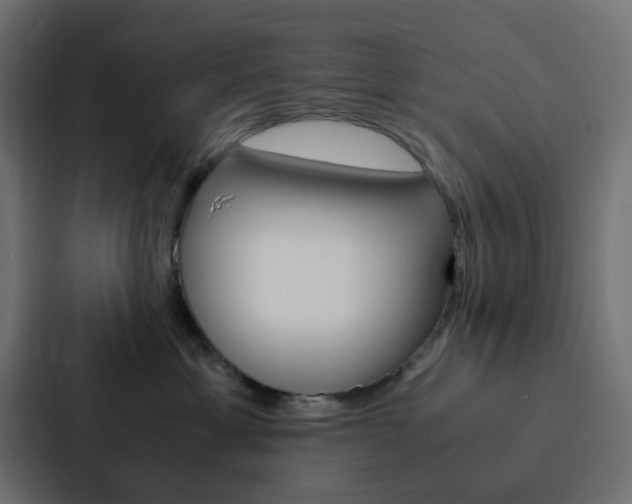 X0000088230429200705151052