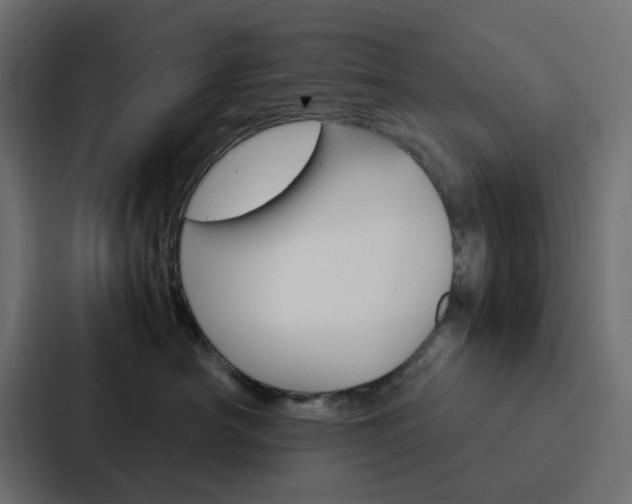 X0000088230430200705151052