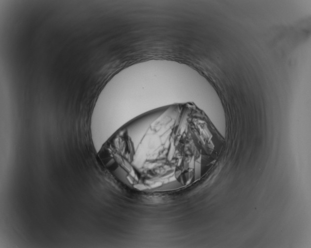 X0000088230432200705151052