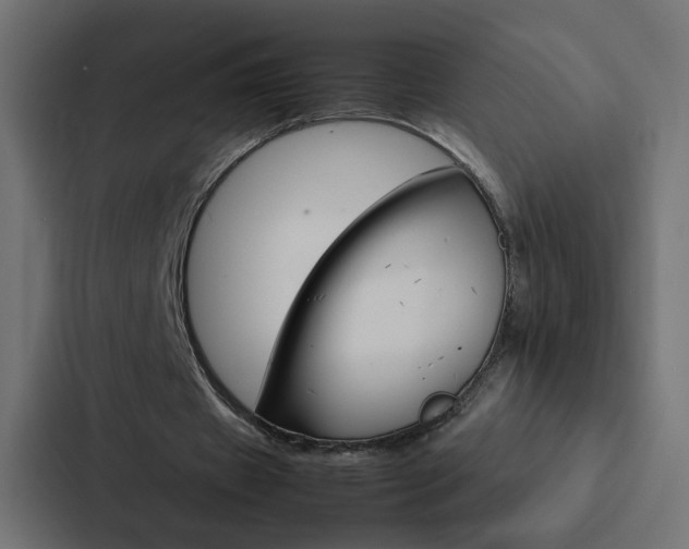 X0000088230433200705151052