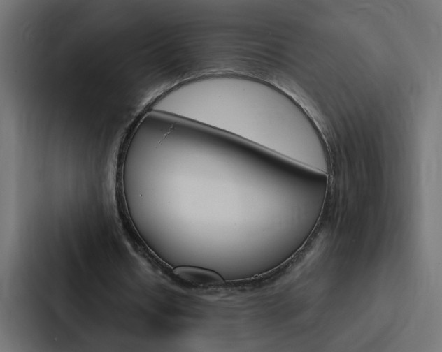 X0000088230434200705151052