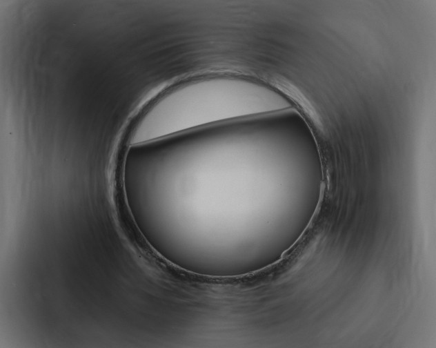 X0000088230436200705151052