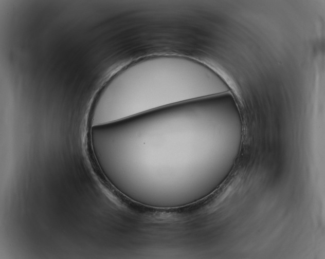 X0000088230437200705151052