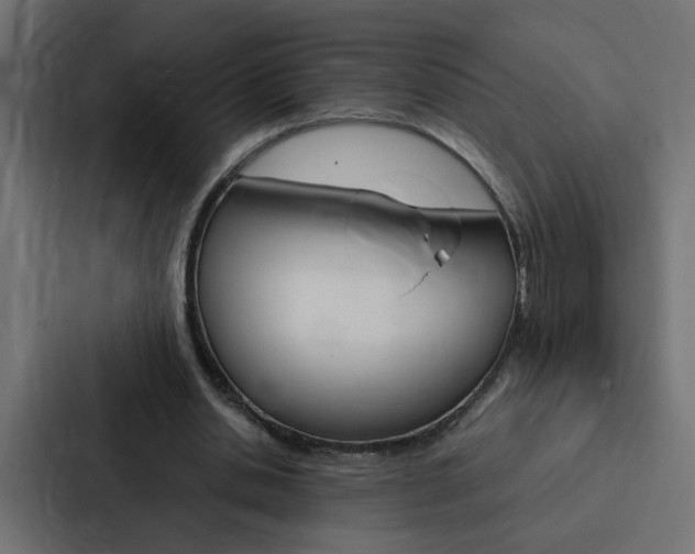 X0000088230438200705151052