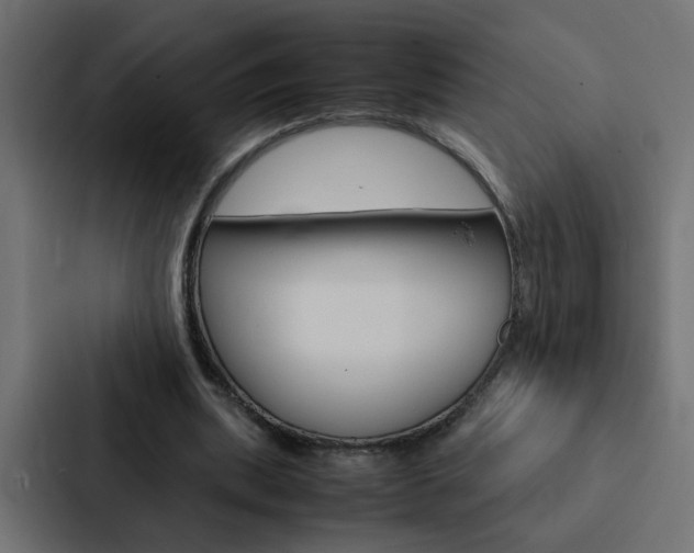 X0000088230439200705151052