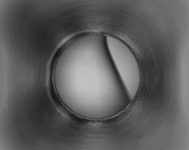 X0000088230440200705151052