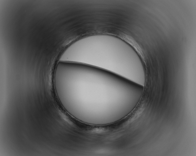 X0000088230441200705151052