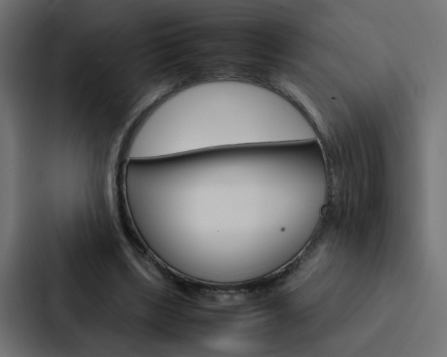 X0000088230443200705151052