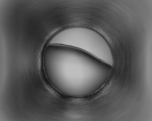 X0000088230446200705151052